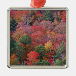 Forest in autumn with fall foliage.  Algonquin Metal Ornament