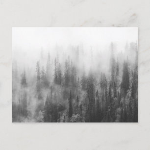 Forest in Fog Postcard
