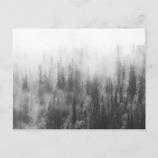 Forest in Fog Postcard (Front)