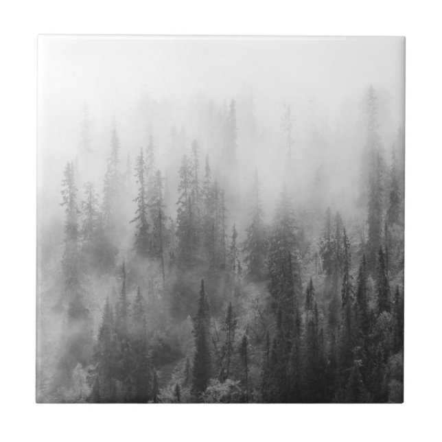 Forest in Fog Tile (Front)