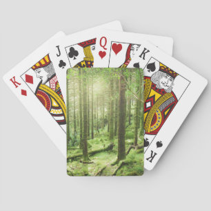 Forest in Killarney National Park   Kerry, Ireland Playing Cards