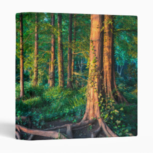 Forest in Summer Binder