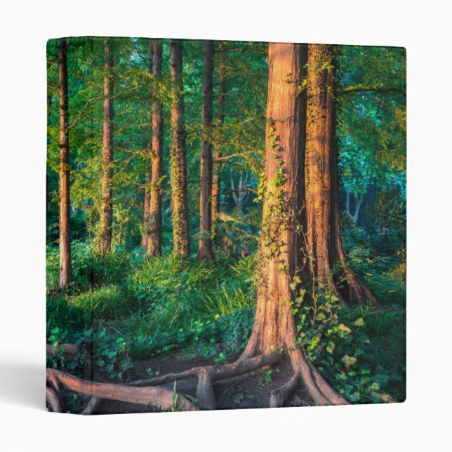 Forest in Summer Binder (Front/Spine)