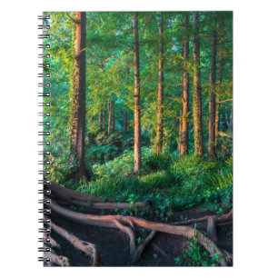 Forest in Summer Notebook