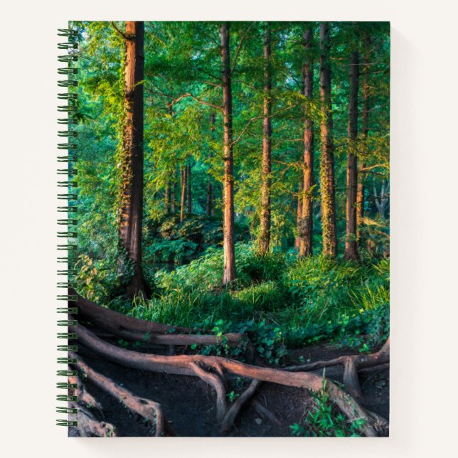 Forest in Summer Notebook (Front)