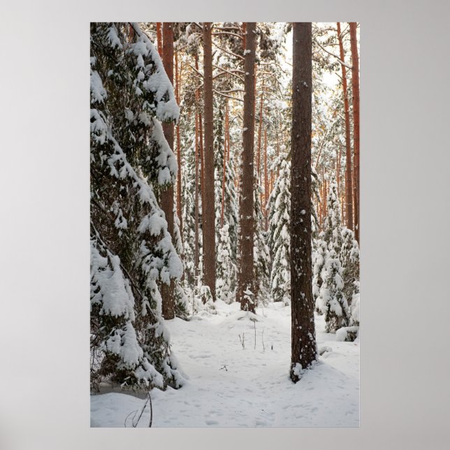 Forest in winter poster (Front)