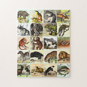 Forest, Jungle And Ocean Animal Collage sheet Art  Jigsaw Puzzle