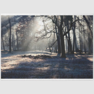 Forest Landscape 23 Decoupage Tissue Paper