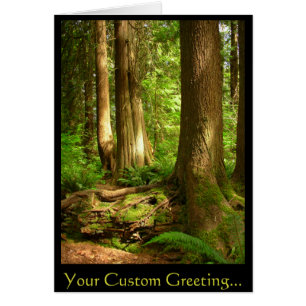 Forest Landscape Blank Card Beautiful Print Cards