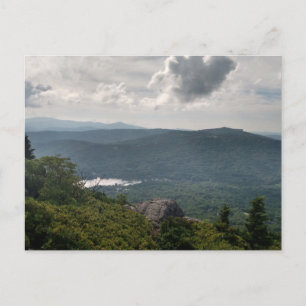 Forest Landscape Photograph on Standard Postcard 
