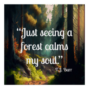 Forest Landscape  Poster