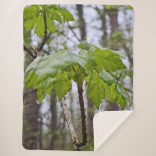 Forest Leaves After Rain – Wild Nature Romania Sherpa Blanket