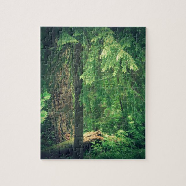 Forest Light Jigsaw Puzzle (Vertical)