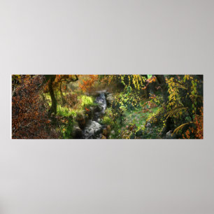 FOREST LITTLE MIDDLE RIVER POSTER