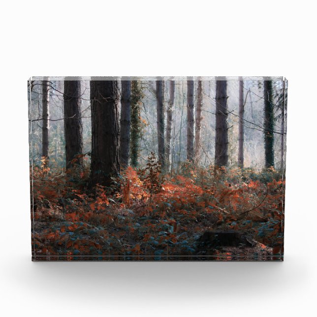 Forest Magic Photo Block (Front)