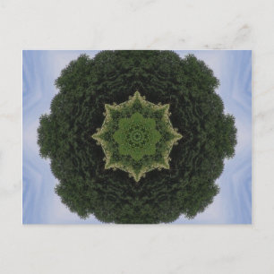 Forest Mandala Postcard