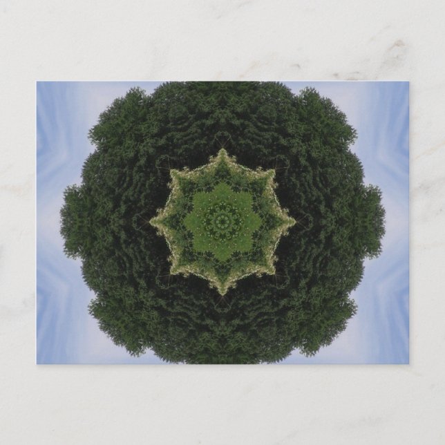Forest Mandala Postcard (Front)