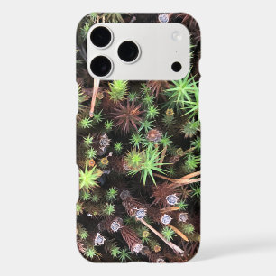 Forest moss