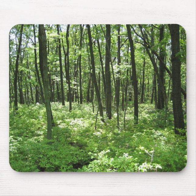 Forest Mouse Pad (Front)