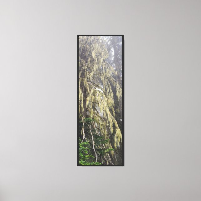 Forest Nature Canvas Print (Front)