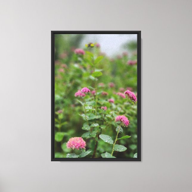Forest Nature Canvas Print (Front)