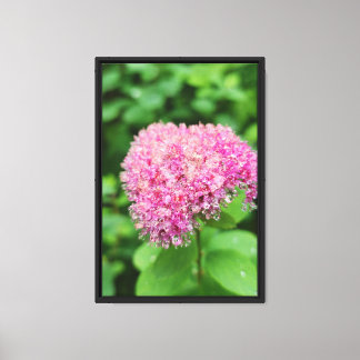 Forest Nature Canvas Print