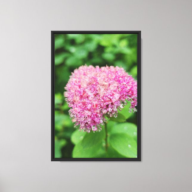 Forest Nature Canvas Print (Front)