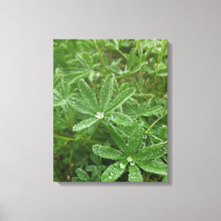 Forest Nature Canvas Print