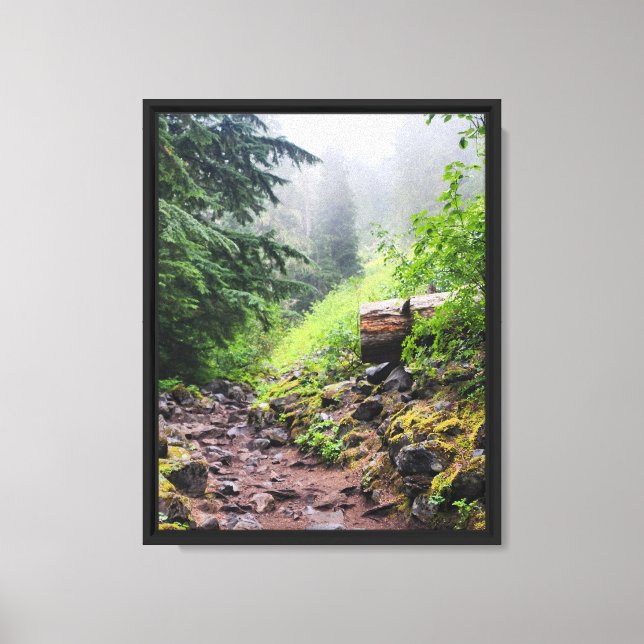 Forest Nature Canvas Print (Front)