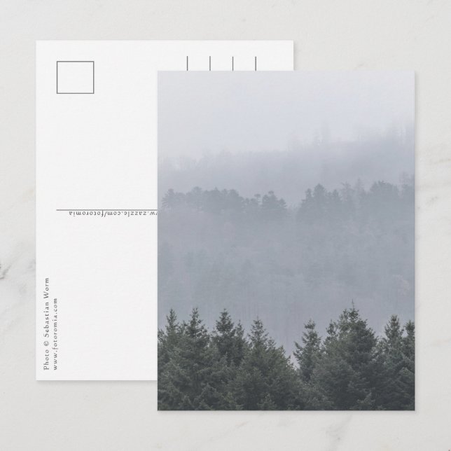 Forest Nature Photo Postcard (Front/Back)