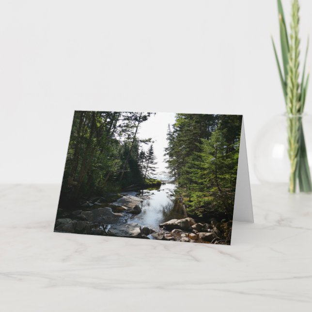Forest near Hunters Beach at Acadia National Park Card (Front)