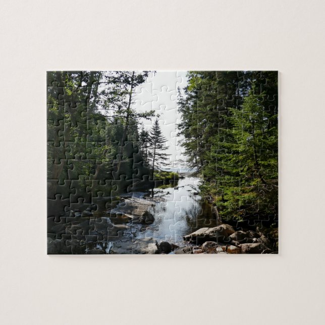 Forest near Hunters Beach at Acadia National Park Jigsaw Puzzle (Horizontal)