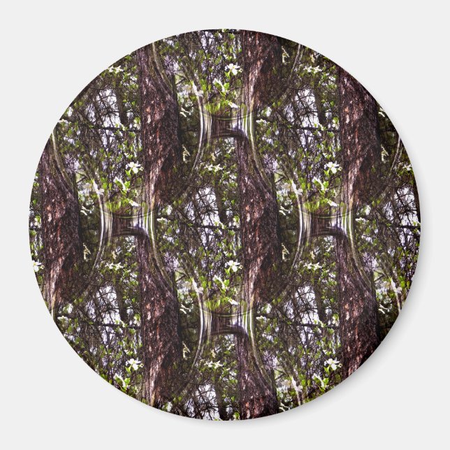 Forest of Dogwoods.... Magnet (Front)