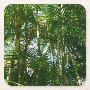 Forest of Palm Trees Tropical Nature Square Paper Coaster