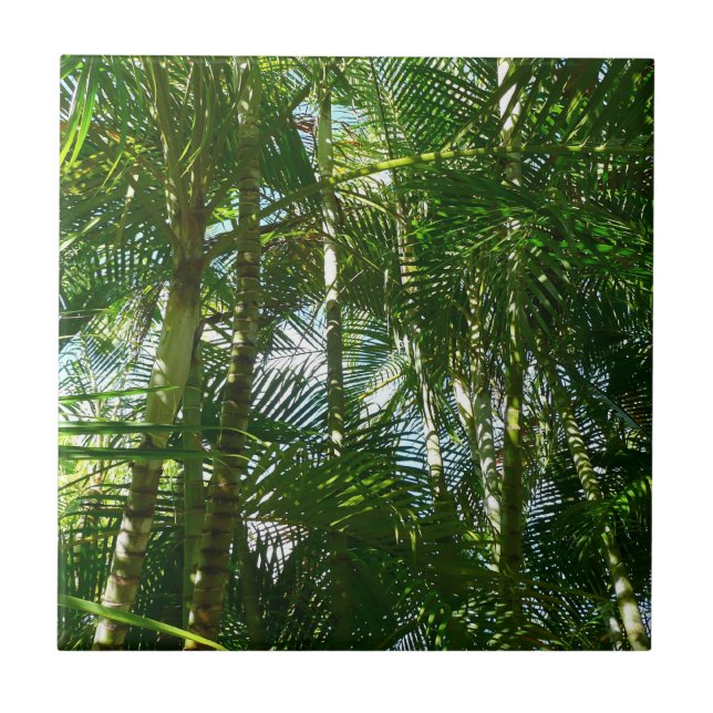 Forest of Palm Trees Tropical Nature Tile (Front)