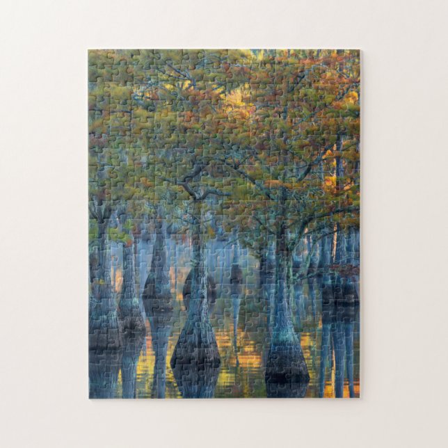 Forest of Pond Cypress Trees Jigsaw Puzzle (Vertical)
