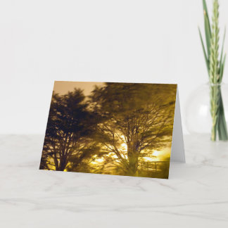 forest of the furies card