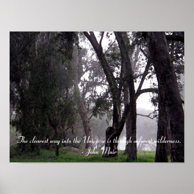 Forest of Trees in Mist Muir Quote Poster (Front)