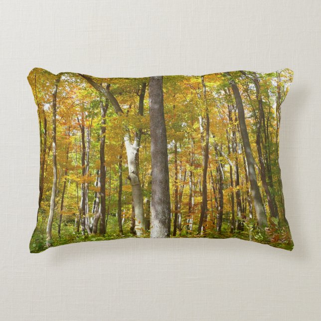 Forest of Yellow Leaves Autumn Landscape Accent Pillow (Front)