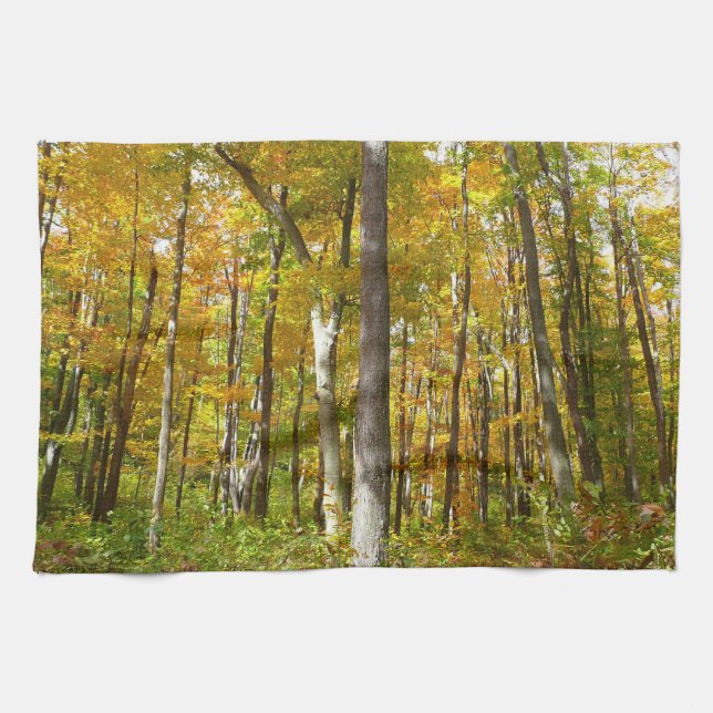 Forest of Yellow Leaves Autumn Landscape Kitchen Towel (Horizontal)