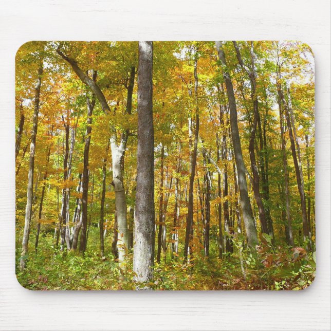 Forest of Yellow Leaves Autumn Landscape Mouse Pad (Front)