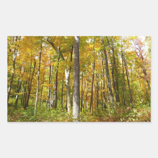 Forest of Yellow Leaves Autumn Landscape Sticker (Front)