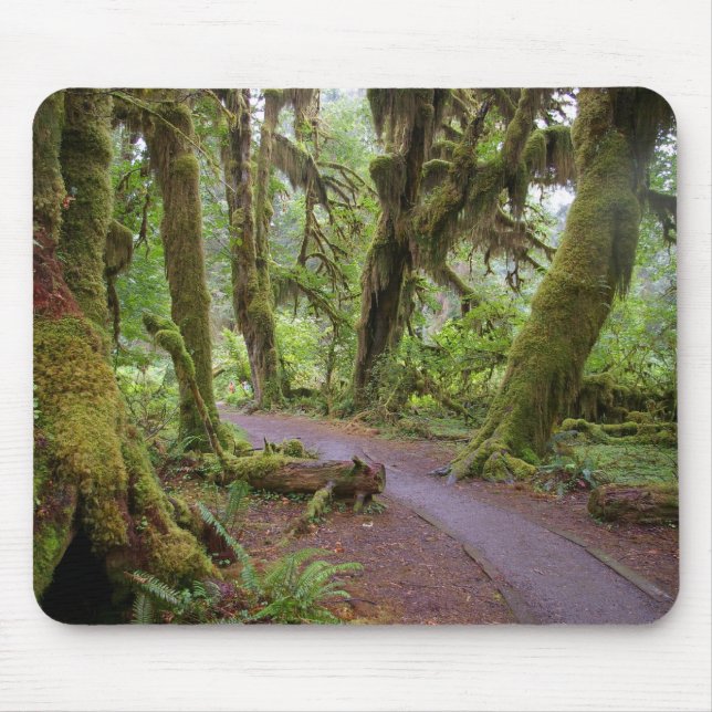 Forest Olympic National Park Mouse Pad (Front)