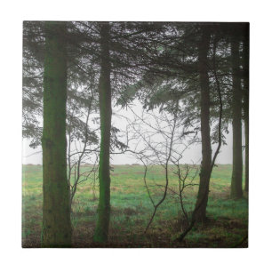 Forest overlooking clearing in the fog tile
