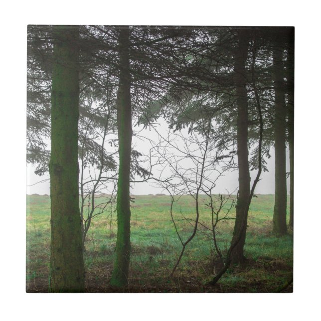 Forest overlooking clearing in the fog tile (Front)