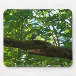 Forest Overpass Mousepad