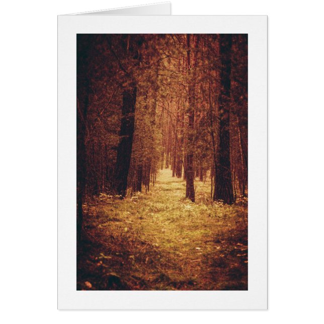 Forest Path... (Front)