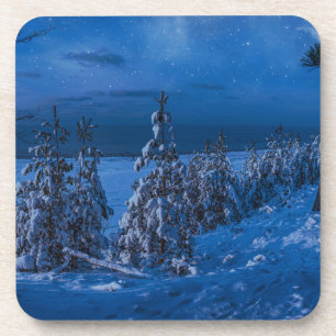 Forest path at winter night coaster