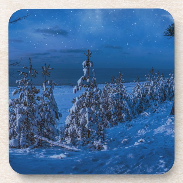 Forest path at winter night coaster (Front)