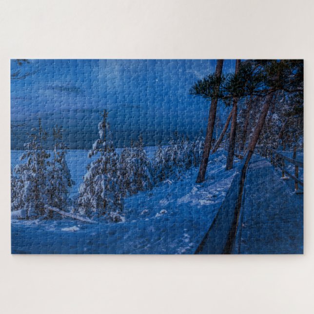 Forest path at winter night jigsaw puzzle (Horizontal)